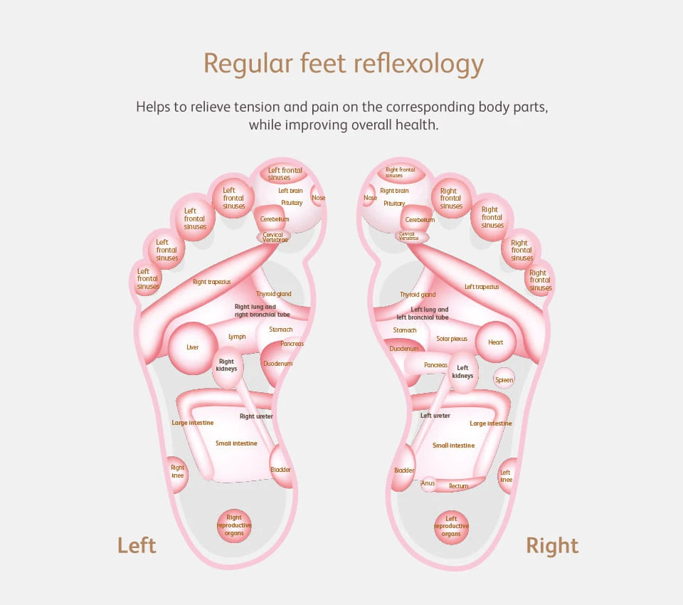 Regular Feet Reflexology